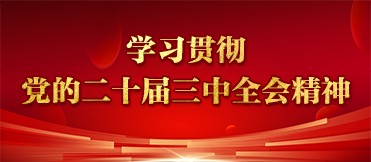學習貫徹黨的二十屆三中全會精神.jpg